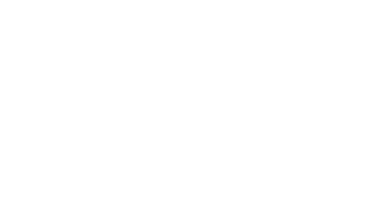 Honkimetsa w